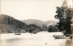 Russian River Guerneville, CA Lark & Varne Postcard Postcard Postcard