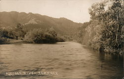 Russian River Terrace Guerneville, CA Postcard Postcard Postcard