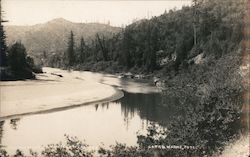 Russian River Guerneville, CA Lark & Varne Postcard Postcard Postcard