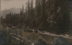 River Scene Postcard