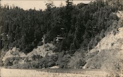 Russian River Guerneville, CA Lark & Varne Foto Postcard Postcard Postcard