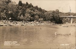 Johnson's Beach Russian River Guerneville, CA Lark Photo Postcard Postcard Postcard