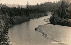 View of the Russian River Guerneville, CA Lark & Varne Postcard Postcard Postcard