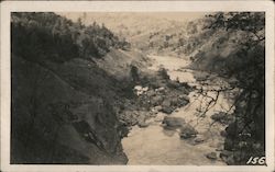 Russian River View? Santa Rosa, CA Postcard Postcard Postcard