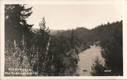 Guernewood - The Russian River Postcard