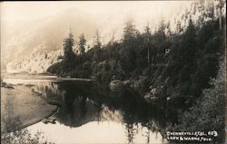 Russian River Guerneville, CA Lark & Varne Foto Postcard Postcard Postcard