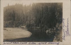 Johnson's Beach on the Russian River Postcard