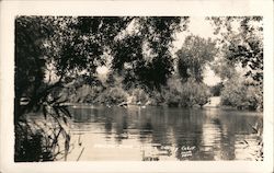 Russian River Guerneville, CA Hasek Photo Postcard Postcard Postcard