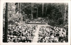 Redwood Forest Theater Guerneville, CA Hasek Photo Postcard Postcard Postcard