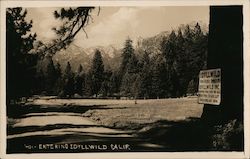 Entering Idyllwild California Postcard Postcard Postcard