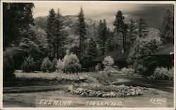 Evening Time Postcard