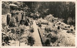 Stock #804750 Thumbnail