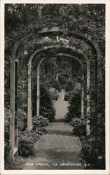 Stock #804757 Thumbnail