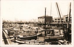 Fisherman's Wharf Postcard