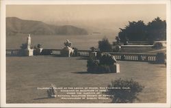 Stock #804819 Thumbnail