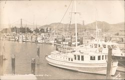 Stock #804900 Thumbnail