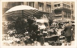 Stock #805022 Thumbnail