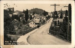 Pine St. Bridge Nevada City, CA Postcard Postcard Postcard