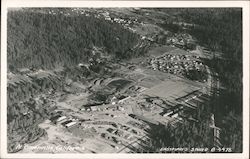 Birdseye View at Greenville, California Postcard