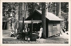 Housekeeping under Big Trees Postcard