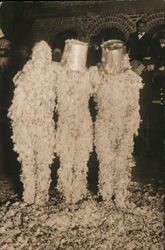 Three People Tarred and Feathered Postcard