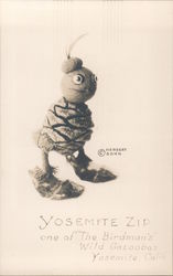 Yosemite Zip Postcard
