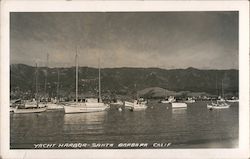 Yacht Harbor Postcard