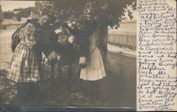 Two Girls with a Donkey Donkeys Postcard Postcard Postcard