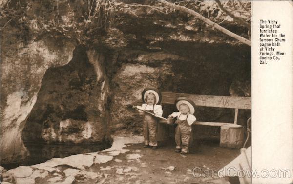 The Vichy Spring that furnishes water for the famous Champagne bath at Vichy Springs California