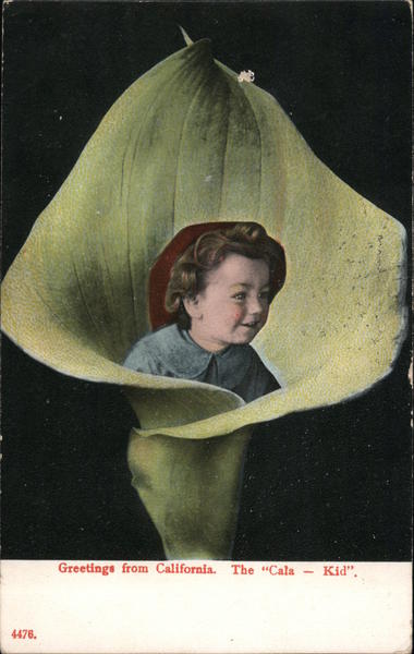 Greetings from California The Cala Kid