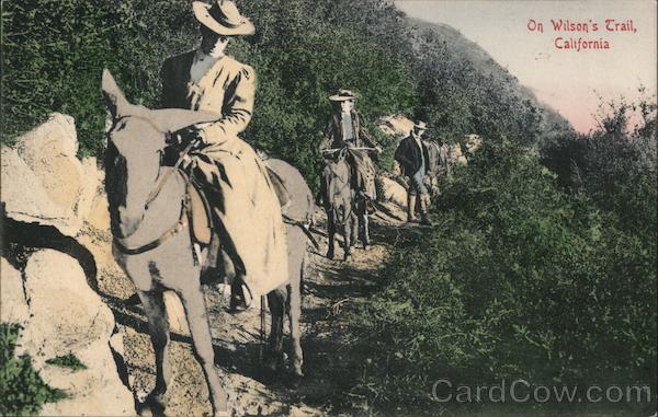 On WIlson's Trail Mount Wilson California