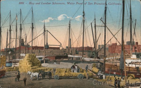 Hay and Lumber Schooners, Water Front San Francisco California