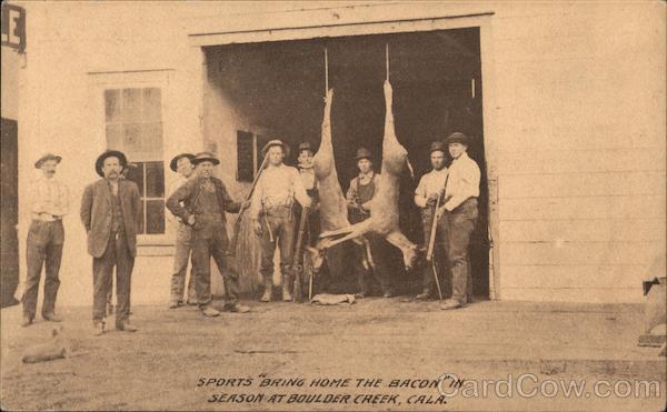 Sports Bring Home the Bacon in Season Boulder Creek California