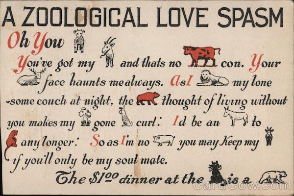 Black Cat Cafe. A Zoological Love Spasm. San Francisco California