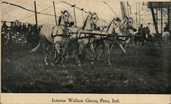 Interior Wallace Circus Postcard