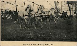 Interior Wallace Circus Peru, IN Postcard Postcard Postcard