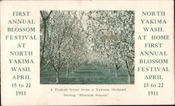 First Annual Bloom Festival April 15 to 22 1911 Postcard