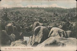 Placer Gold Fields Sonora, CA Postcard Postcard Postcard