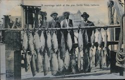 A Mornings Catch at the Pier Postcard