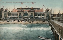 Natatorium and Pleasure Pier Postcard