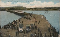 Municipal Wharf Postcard