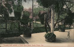 Veranda Built Around a Great Rose Bush Postcard