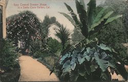 Rose Covered Summer House in a Garden Postcard