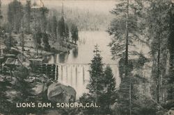 Lion's Dam Sonora, CA Postcard Postcard Postcard