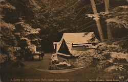 A Camp in Guernewood Park Postcard
