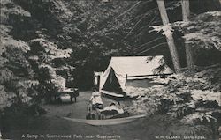 A Camp in Guernewood Park Postcard
