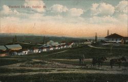 Standard Oil Co., Section 28 Coalinga, CA Postcard Postcard Postcard