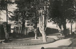 The Alameda - Presidio Postcard