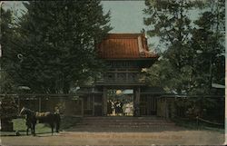 Entrance to Japanese Tea Garden, Golden Gate Park Postcard