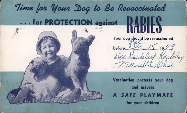 Time for your dog to be revaccinated for protection against rabies. Child with puppies